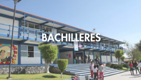 Bachilleres