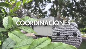 Coordinaciones