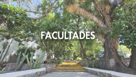 Facultades